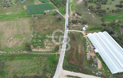 Çanakkale Ezine Uluköy 5195 M2 Satılık Tarla!