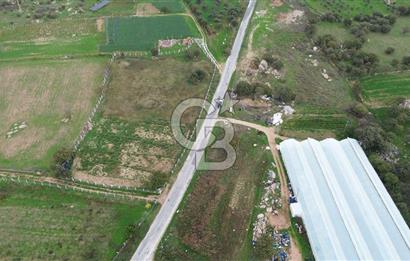 Çanakkale Ezine Uluköy 5195 M2 Satılık Tarla!