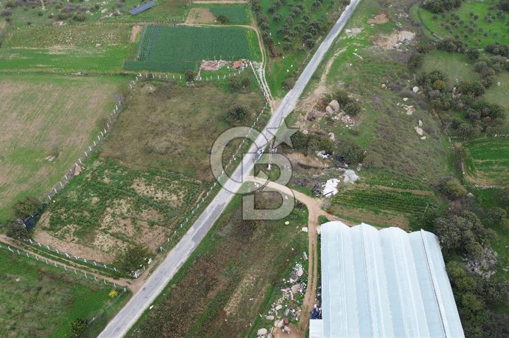 Çanakkale Ezine Uluköy 5195 M2 Satılık Tarla!