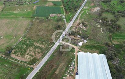 Çanakkale Ezine Uluköy 5195 M2 Satılık Tarla!