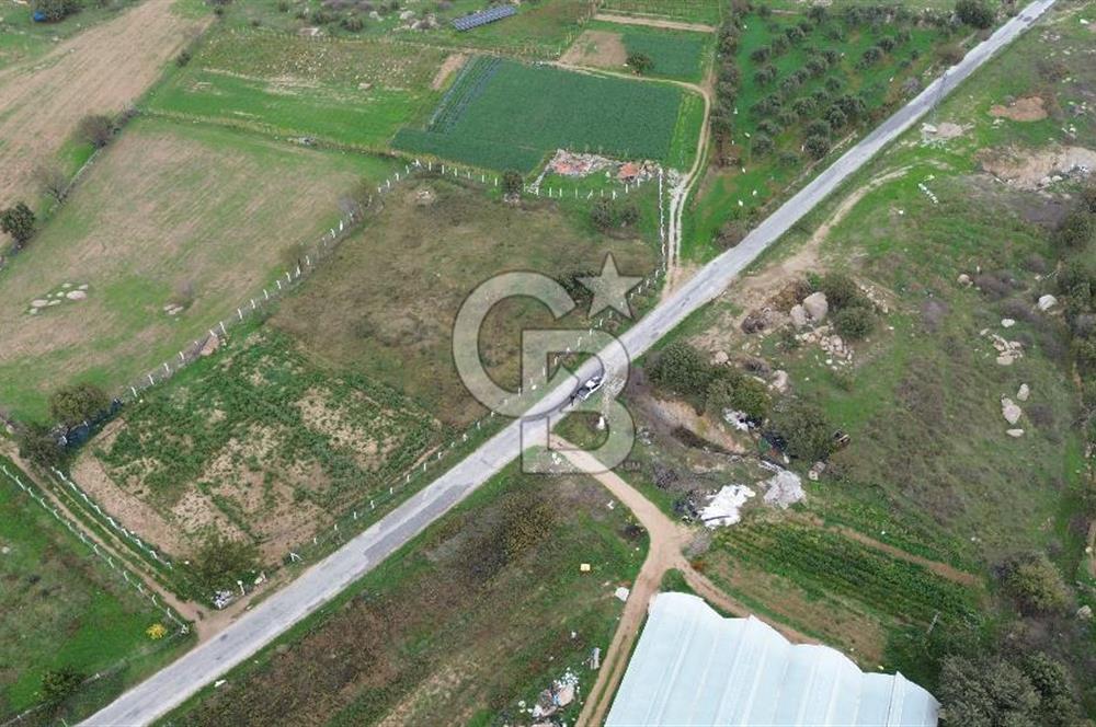 Çanakkale Ezine Uluköy 5195 M2 Satılık Tarla!