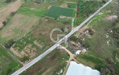 Çanakkale Ezine Uluköy 5195 M2 Satılık Tarla!