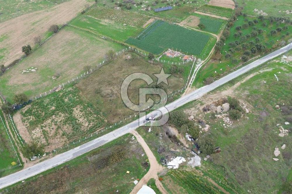 Çanakkale Ezine Uluköy 5195 M2 Satılık Tarla!