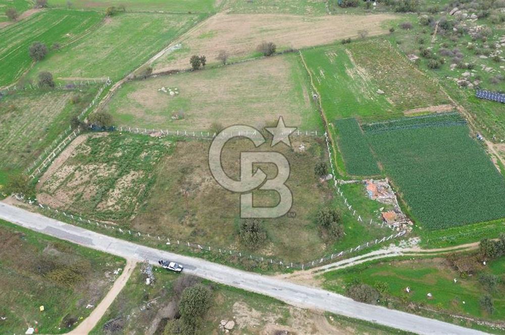 Çanakkale Ezine Uluköy 5195 M2 Satılık Tarla!