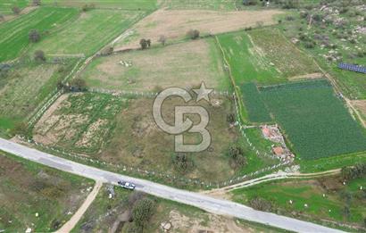 Çanakkale Ezine Uluköy 5195 M2 Satılık Tarla!