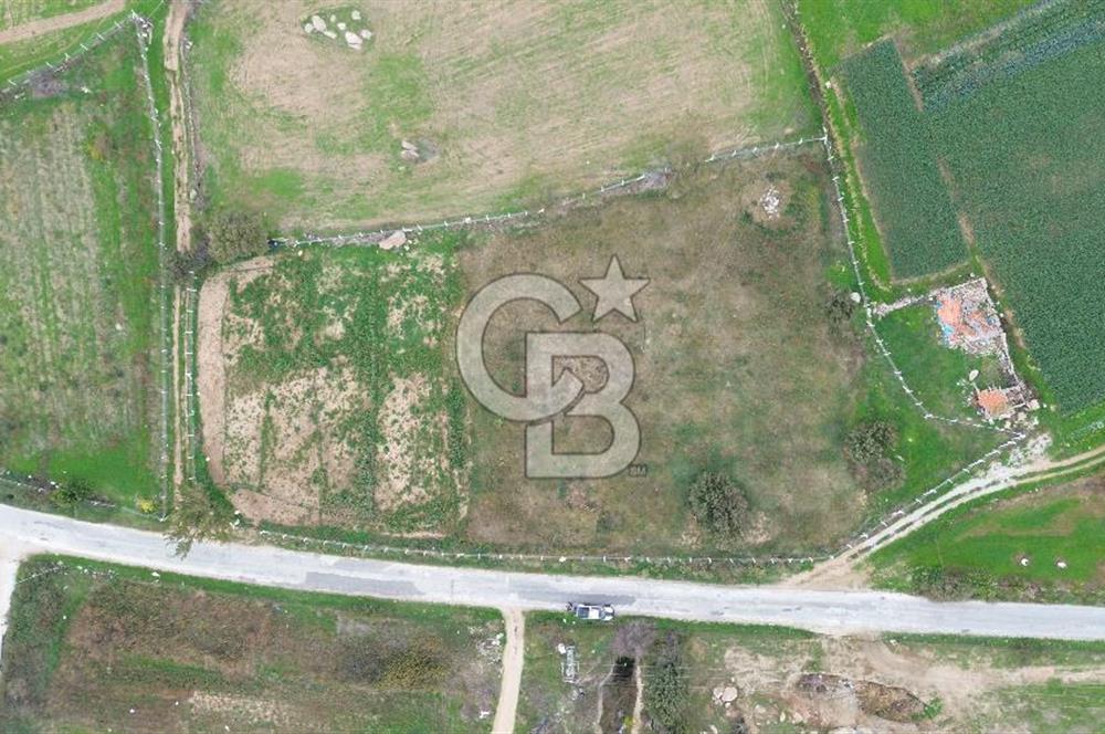 Çanakkale Ezine Uluköy 5195 M2 Satılık Tarla!