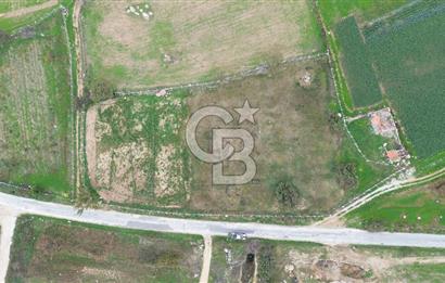 Çanakkale Ezine Uluköy 5195 M2 Satılık Tarla!