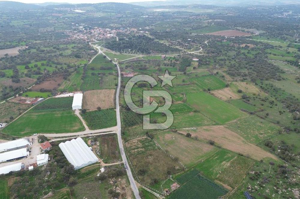 Çanakkale Ezine Uluköy 5195 M2 Satılık Tarla!