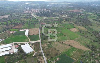 Çanakkale Ezine Uluköy 5195 M2 Satılık Tarla!