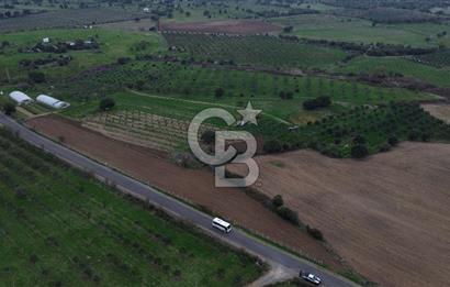 Çanakkale Ezine Yahyaçavus Köyü 4.437 M2 Satılık Tarla !