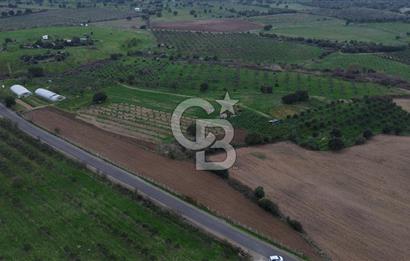 Çanakkale Ezine Yahyaçavus Köyü 4.437 M2 Satılık Tarla !