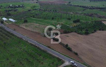 Çanakkale Ezine Yahyaçavus Köyü 4.437 M2 Satılık Tarla !