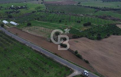 Çanakkale Ezine Yahyaçavus Köyü 4.437 M2 Satılık Tarla !