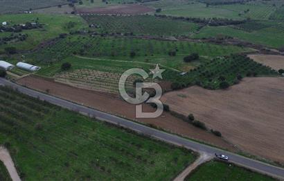 Çanakkale Ezine Yahyaçavus Köyü 4.437 M2 Satılık Tarla !