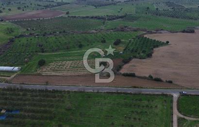 Çanakkale Ezine Yahyaçavus Köyü 4.437 M2 Satılık Tarla !