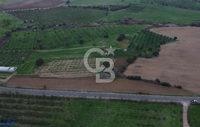 Çanakkale Ezine Yahyaçavus Köyü 4.437 M2 Satılık Tarla !