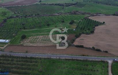 Çanakkale Ezine Yahyaçavus Köyü 4.437 M2 Satılık Tarla !