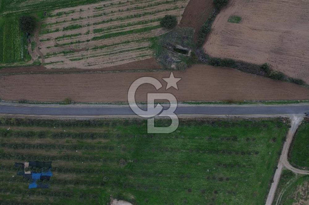 Çanakkale Ezine Yahyaçavus Köyü 4.437 M2 Satılık Tarla !