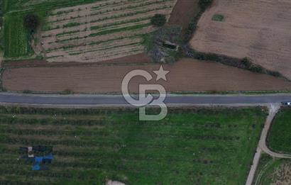 Çanakkale Ezine Yahyaçavus Köyü 4.437 M2 Satılık Tarla !