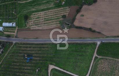 Çanakkale Ezine Yahyaçavus Köyü 4.437 M2 Satılık Tarla !