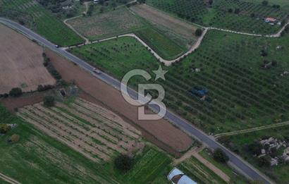 Çanakkale Ezine Yahyaçavus Köyü 4.437 M2 Satılık Tarla !