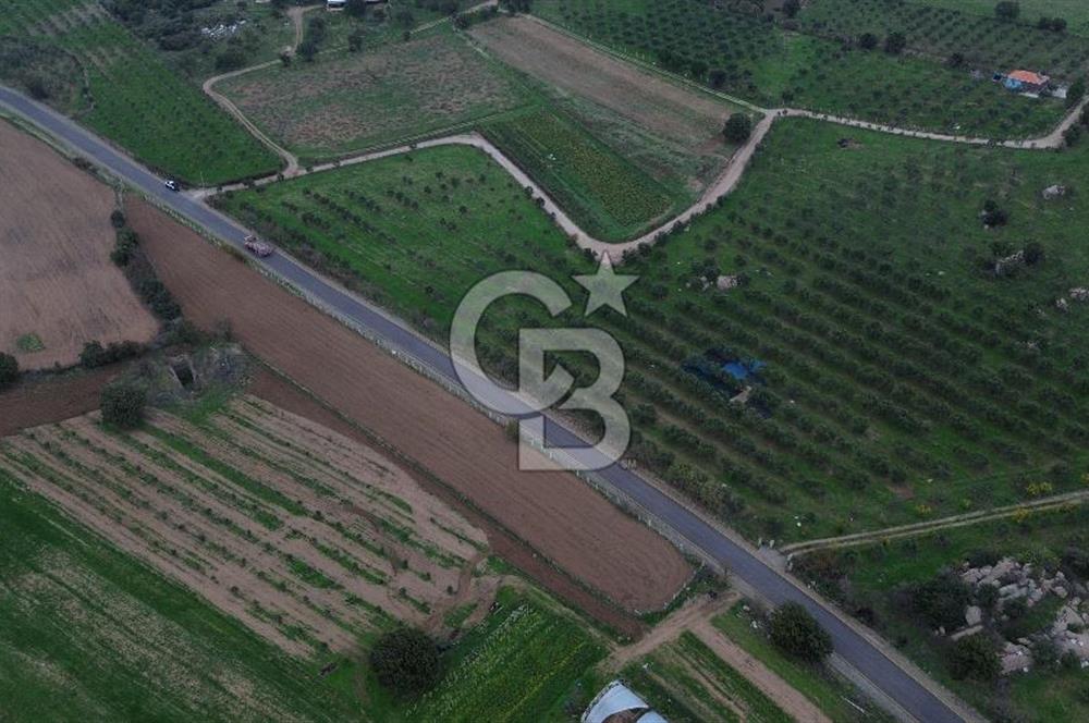 Çanakkale Ezine Yahyaçavus Köyü 4.437 M2 Satılık Tarla !