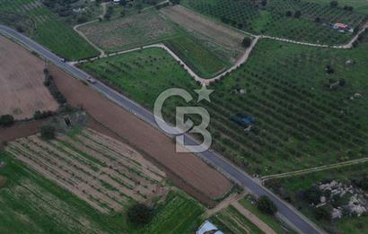 Çanakkale Ezine Yahyaçavus Köyü 4.437 M2 Satılık Tarla !