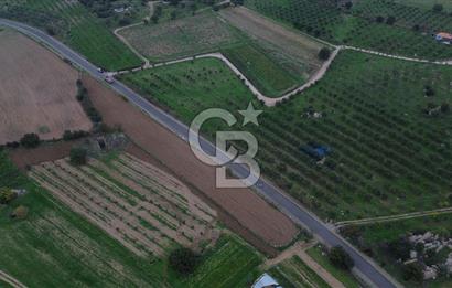 Çanakkale Ezine Yahyaçavus Köyü 4.437 M2 Satılık Tarla !