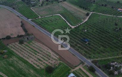 Çanakkale Ezine Yahyaçavus Köyü 4.437 M2 Satılık Tarla !