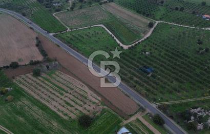 Çanakkale Ezine Yahyaçavus Köyü 4.437 M2 Satılık Tarla !