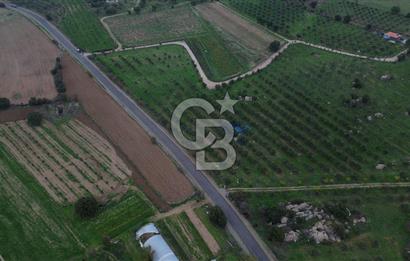 Çanakkale Ezine Yahyaçavus Köyü 4.437 M2 Satılık Tarla !