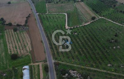 Çanakkale Ezine Yahyaçavus Köyü 4.437 M2 Satılık Tarla !