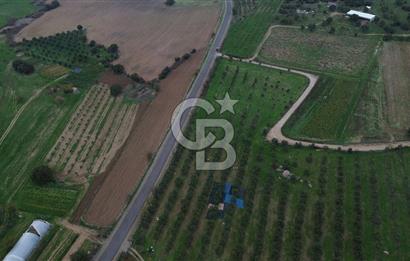 Çanakkale Ezine Yahyaçavus Köyü 4.437 M2 Satılık Tarla !