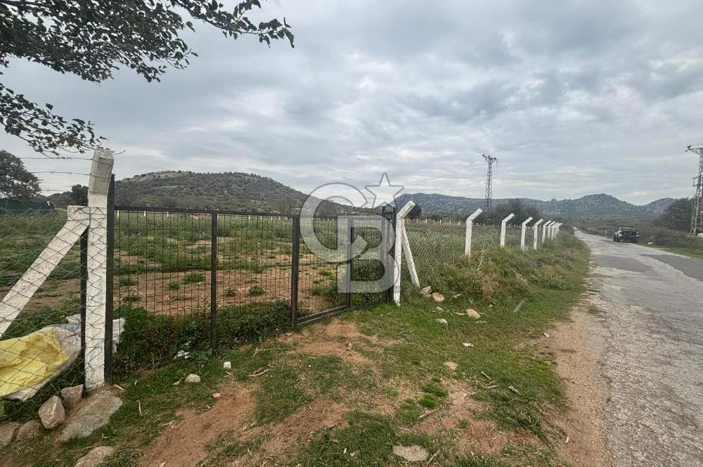 Çanakkale Ezine Uluköy 5195 M2 Satılık Tarla!