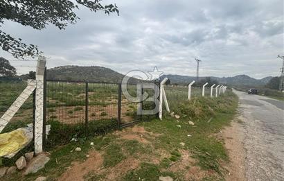 Çanakkale Ezine Uluköy 5195 M2 Satılık Tarla!