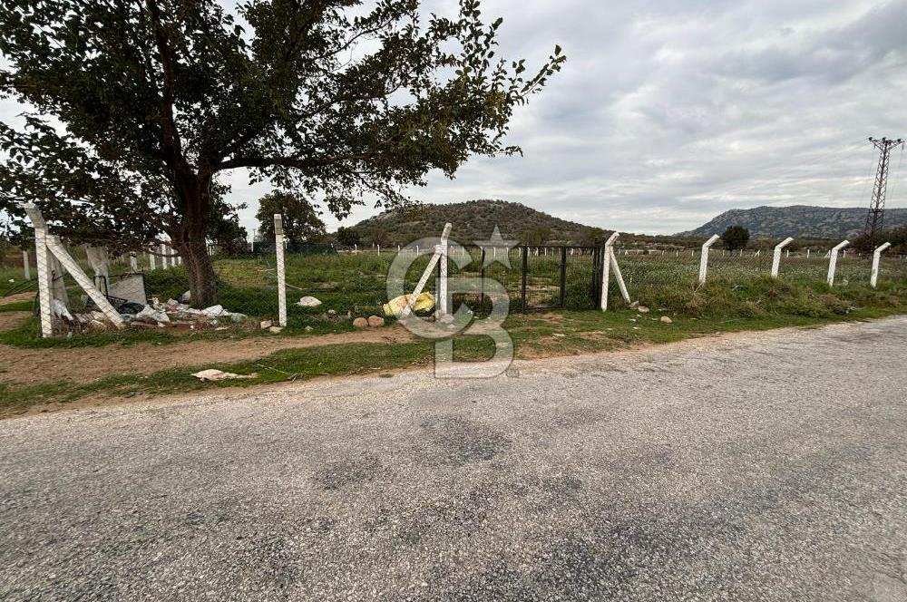 Çanakkale Ezine Uluköy 5195 M2 Satılık Tarla!