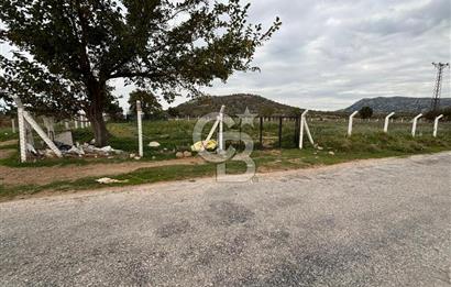 Çanakkale Ezine Uluköy 5195 M2 Satılık Tarla!