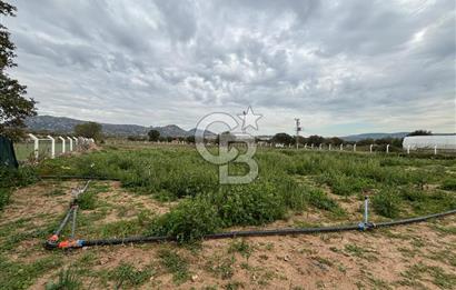 Çanakkale Ezine Uluköy 5195 M2 Satılık Tarla!