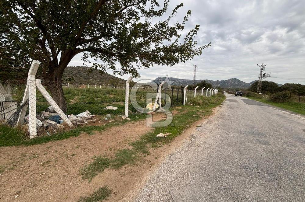 Çanakkale Ezine Uluköy 5195 M2 Satılık Tarla!