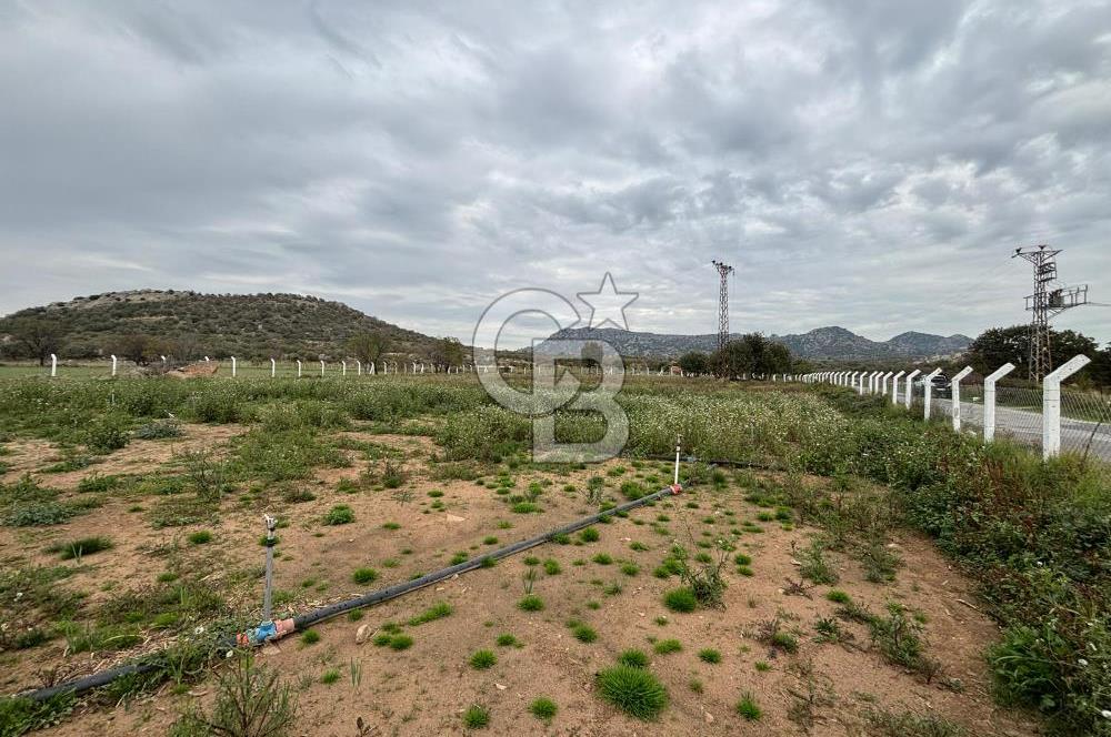 Çanakkale Ezine Uluköy 5195 M2 Satılık Tarla!