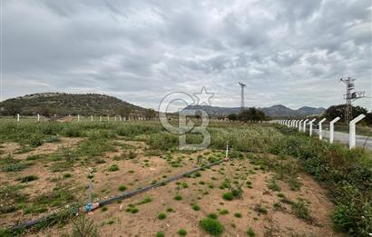 Çanakkale Ezine Uluköy 5195 M2 Satılık Tarla!