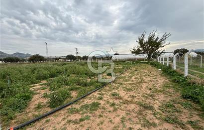 Çanakkale Ezine Uluköy 5195 M2 Satılık Tarla!