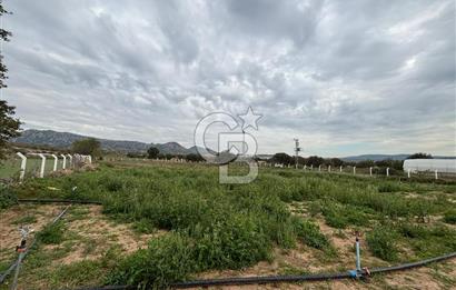 Çanakkale Ezine Uluköy 5195 M2 Satılık Tarla!