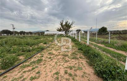 Çanakkale Ezine Uluköy 5195 M2 Satılık Tarla!