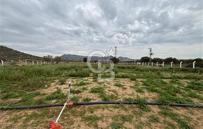 Çanakkale Ezine Uluköy 5195 M2 Satılık Tarla!