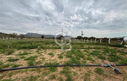 Çanakkale Ezine Uluköy 5195 M2 Satılık Tarla!