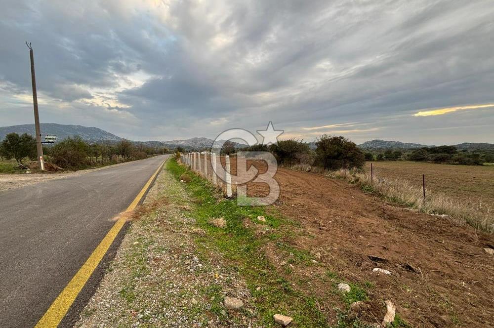 Çanakkale Ezine Yahyaçavus Köyü 4.437 M2 Satılık Tarla !