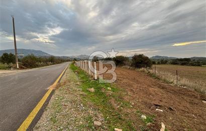 Çanakkale Ezine Yahyaçavus Köyü 4.437 M2 Satılık Tarla !
