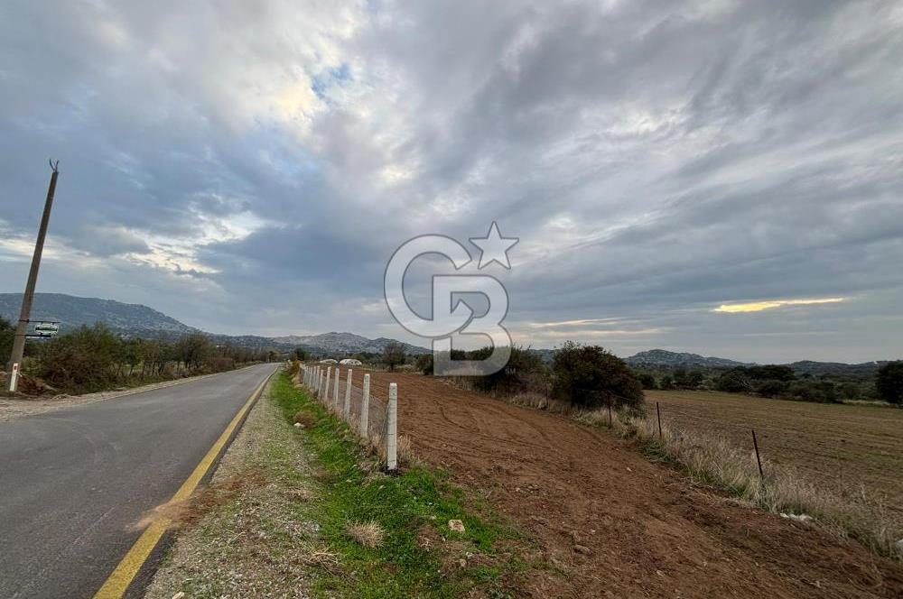 Çanakkale Ezine Yahyaçavus Köyü 4.437 M2 Satılık Tarla !