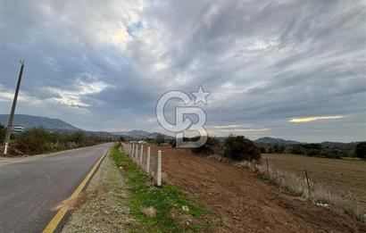 Çanakkale Ezine Yahyaçavus Köyü 4.437 M2 Satılık Tarla !